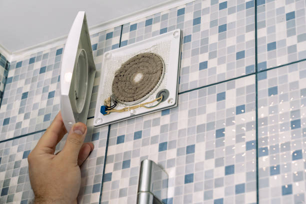 Best HVAC Air Duct Cleaning  in Wrangell, AK