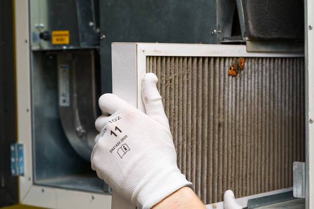 Best Air Duct Sanitizing Services  in Wrangell, AK